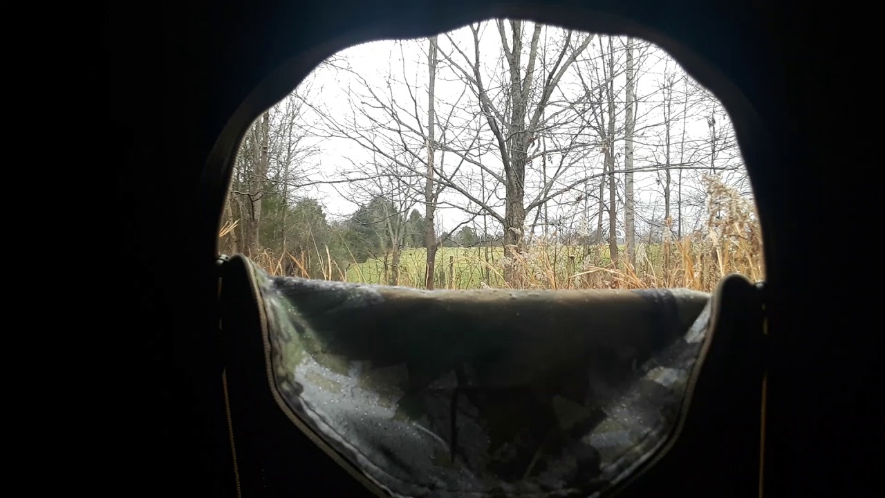 Whitetail hunting waiting on buck day 1