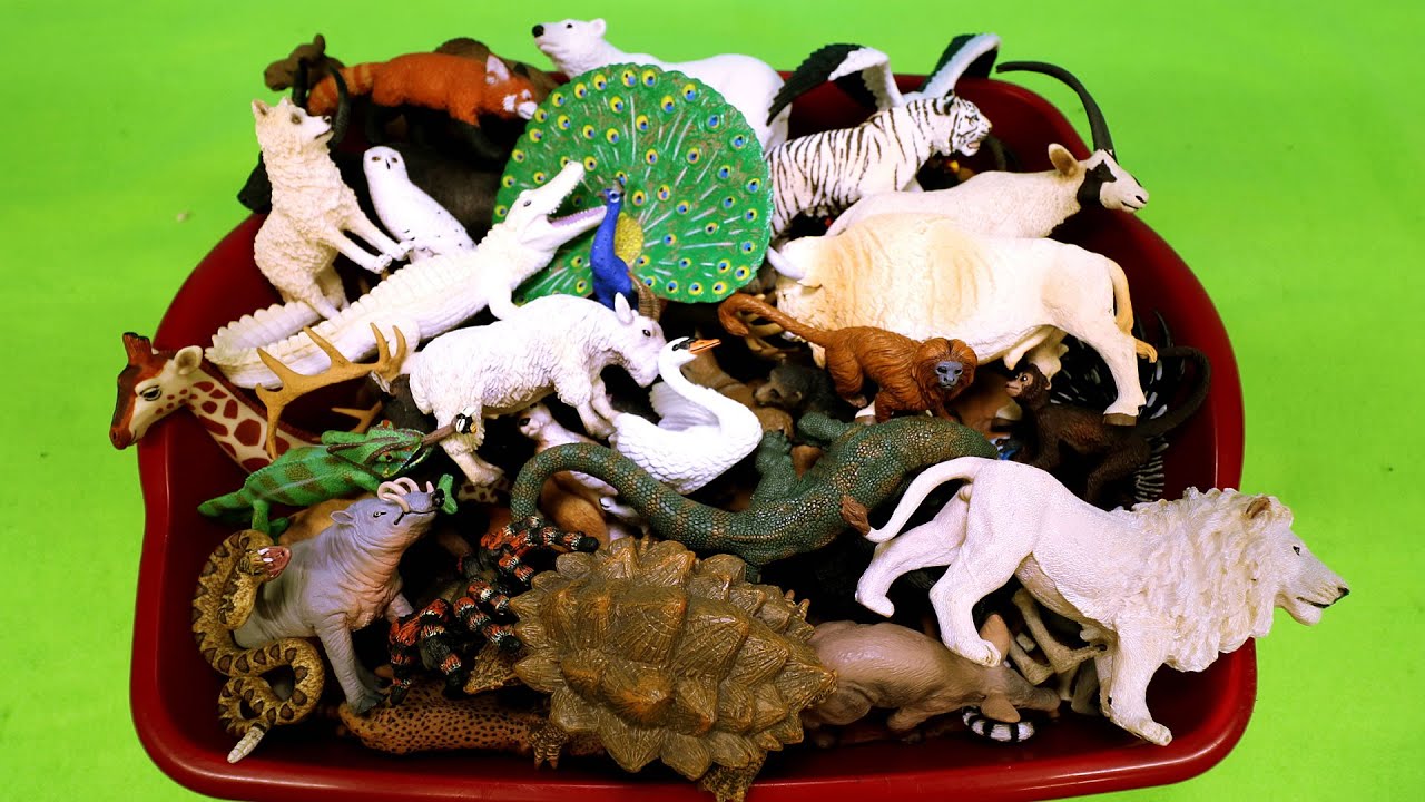 100 plus Wild Animal Figurines Toys   Learn Animal Names