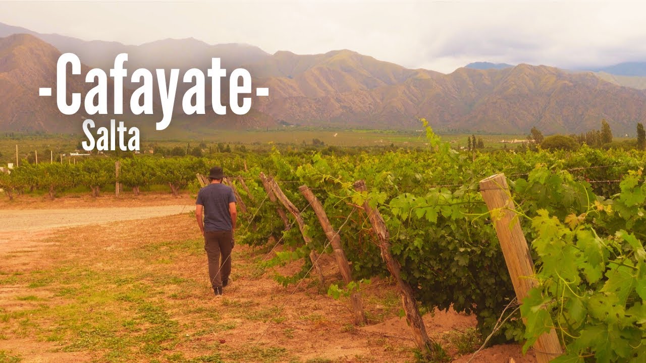 Esta es la ciudad que más me decepcionó | Cafayate, Salta