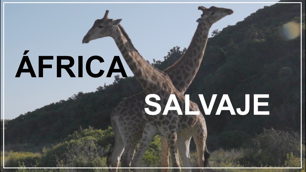 África salvaje