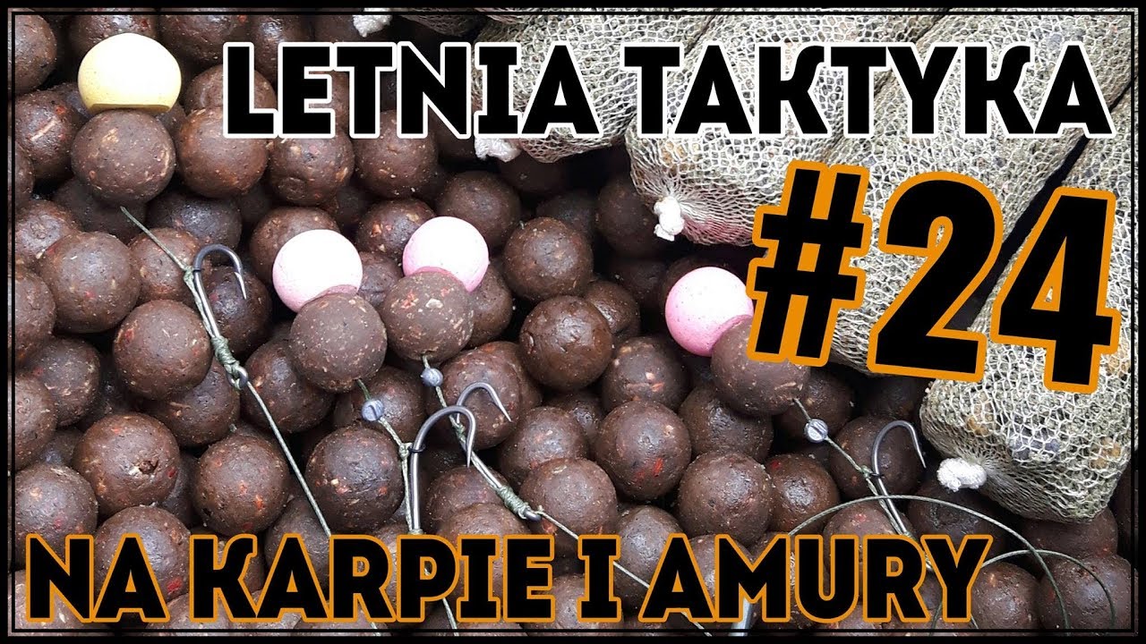 Poradnik Początkującego Karpiarza #24 Letnia taktyka na karpie i amury