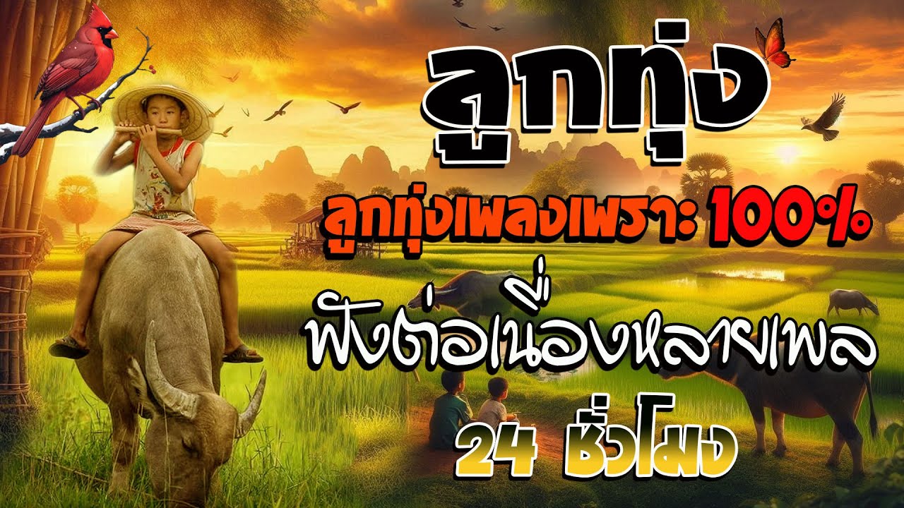 เพลงลูกทุ่งฟังเพราะ 100%  ฟังต่อเนื่องหลายเพลง 24 ชั่วโมง🎉ไม่มีโฆษณา