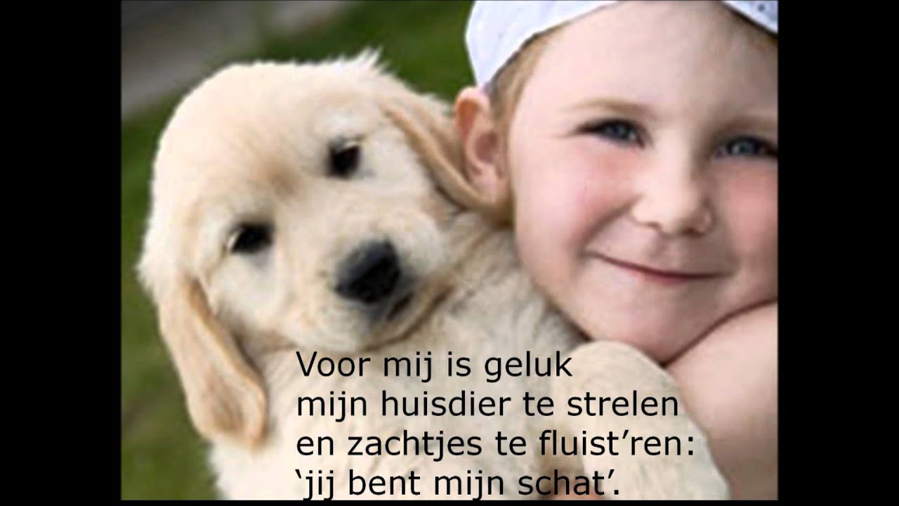 voor mij is geluk