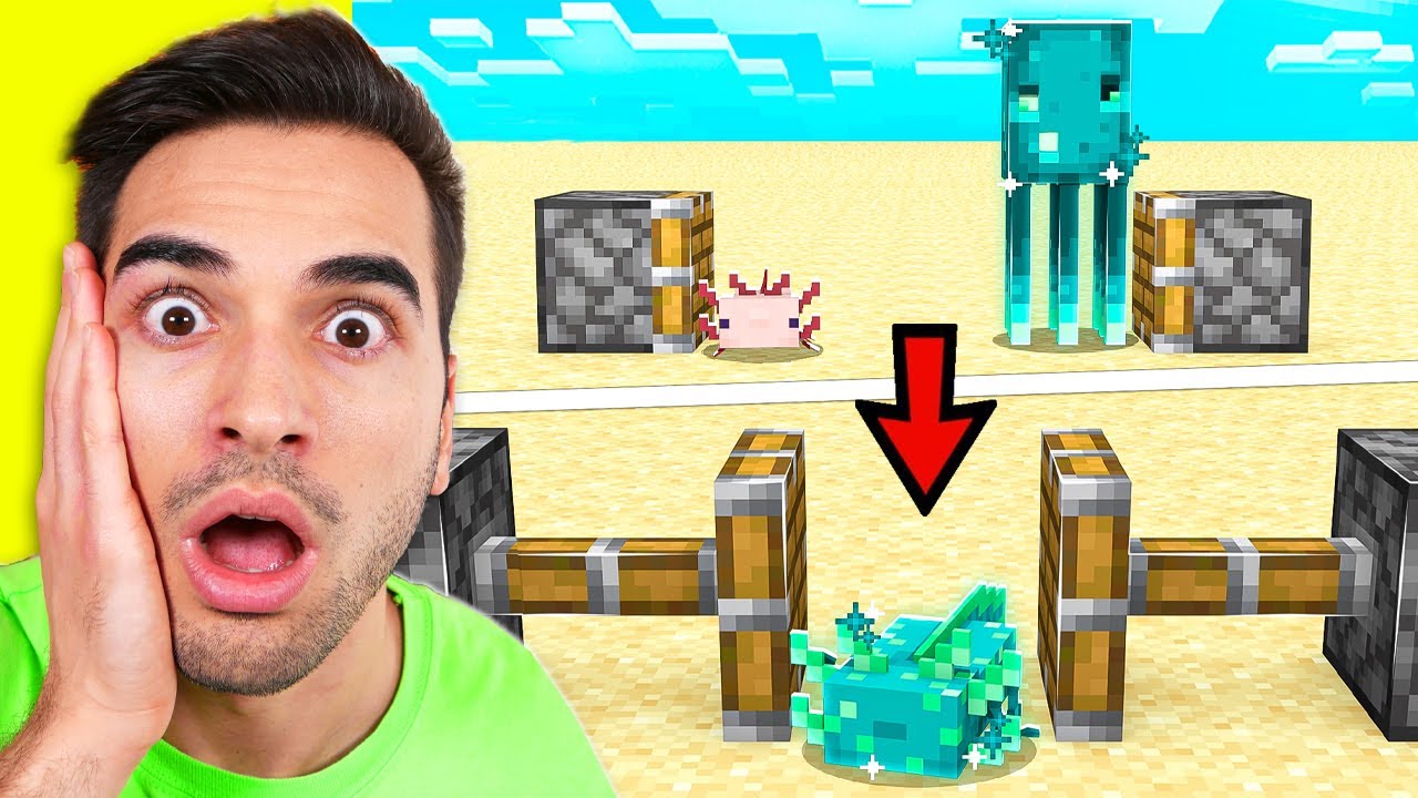 PROVO A ROMPERE MINECRAFT