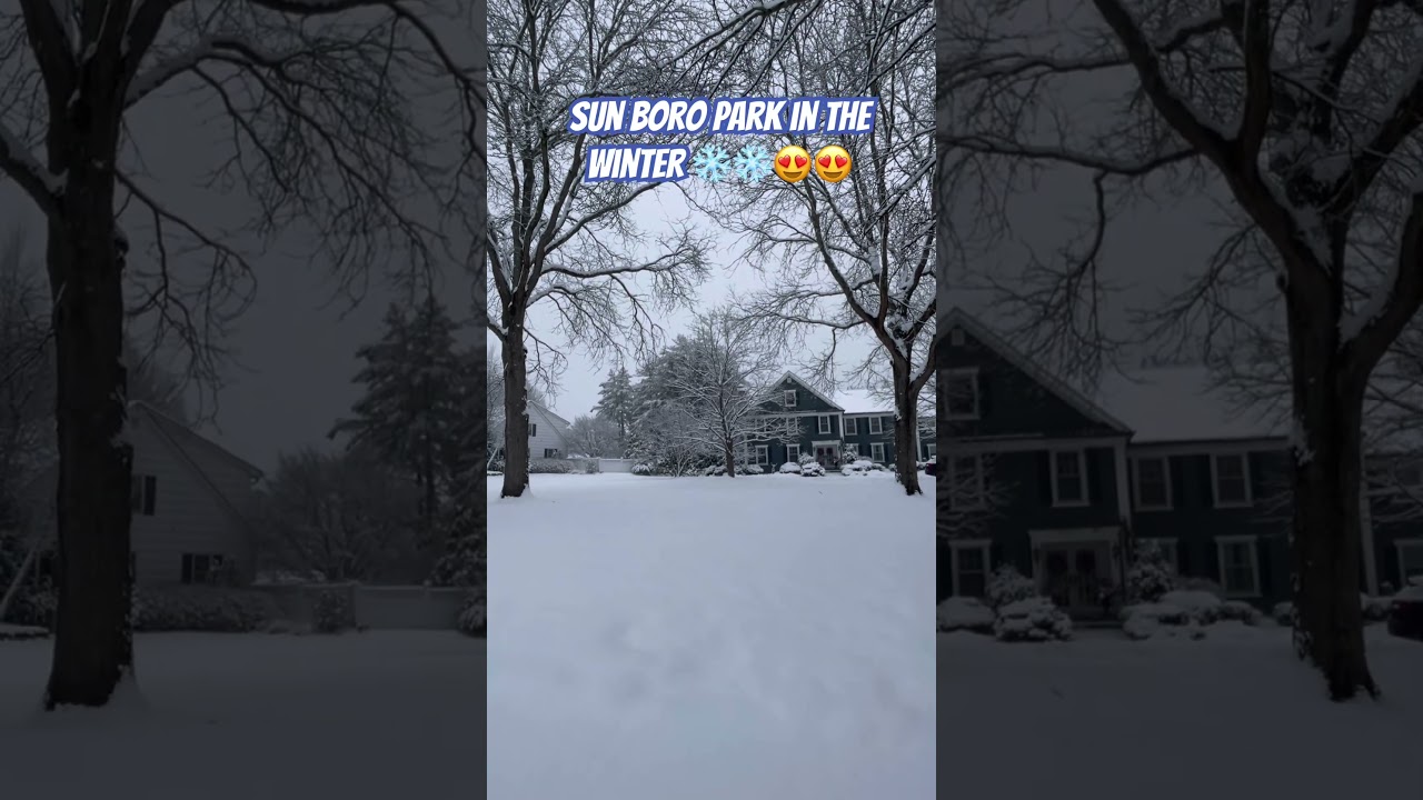 Should we play a game in the snow? 
