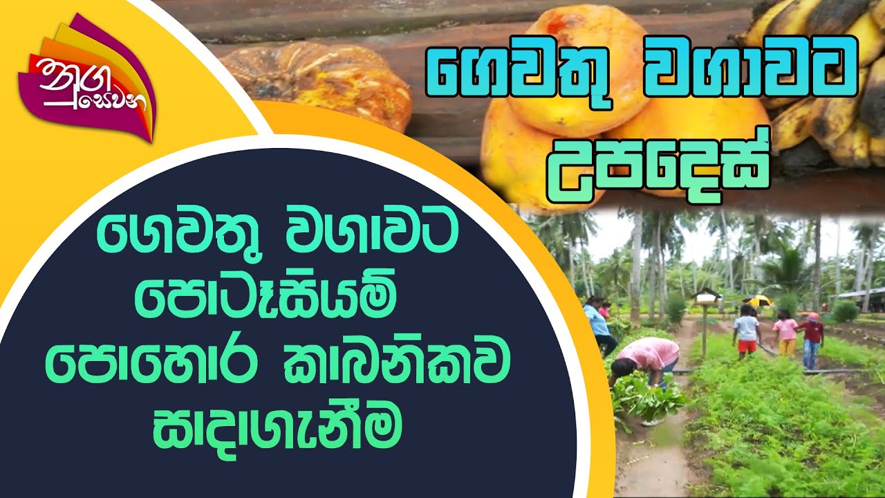 Nugasewana | Gewathu Wagawa | 2022-09-20 |Rupavahini