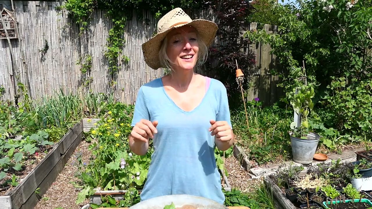 Moestuinvideo: bescherm je gewassen tegen mee-eters (en meer tips)