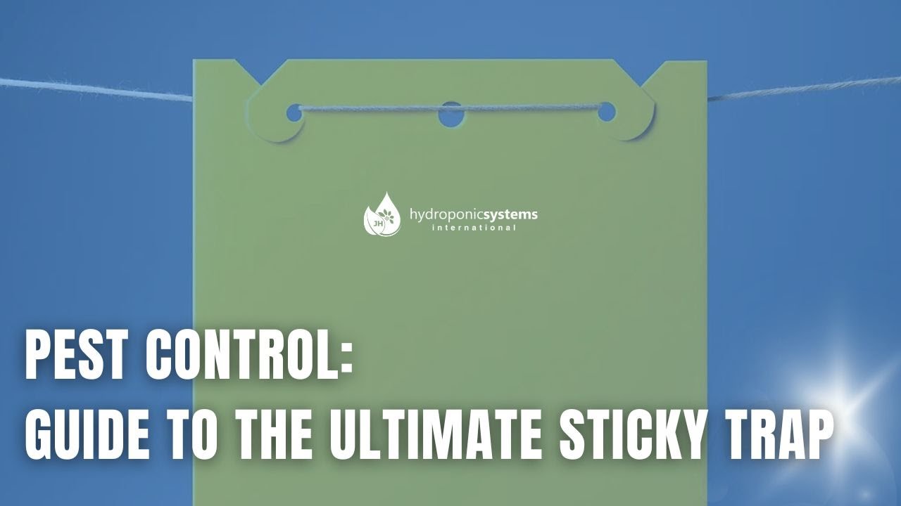 How to Install Agricultural Pest Traps Faster and Reduce Labor Costs
