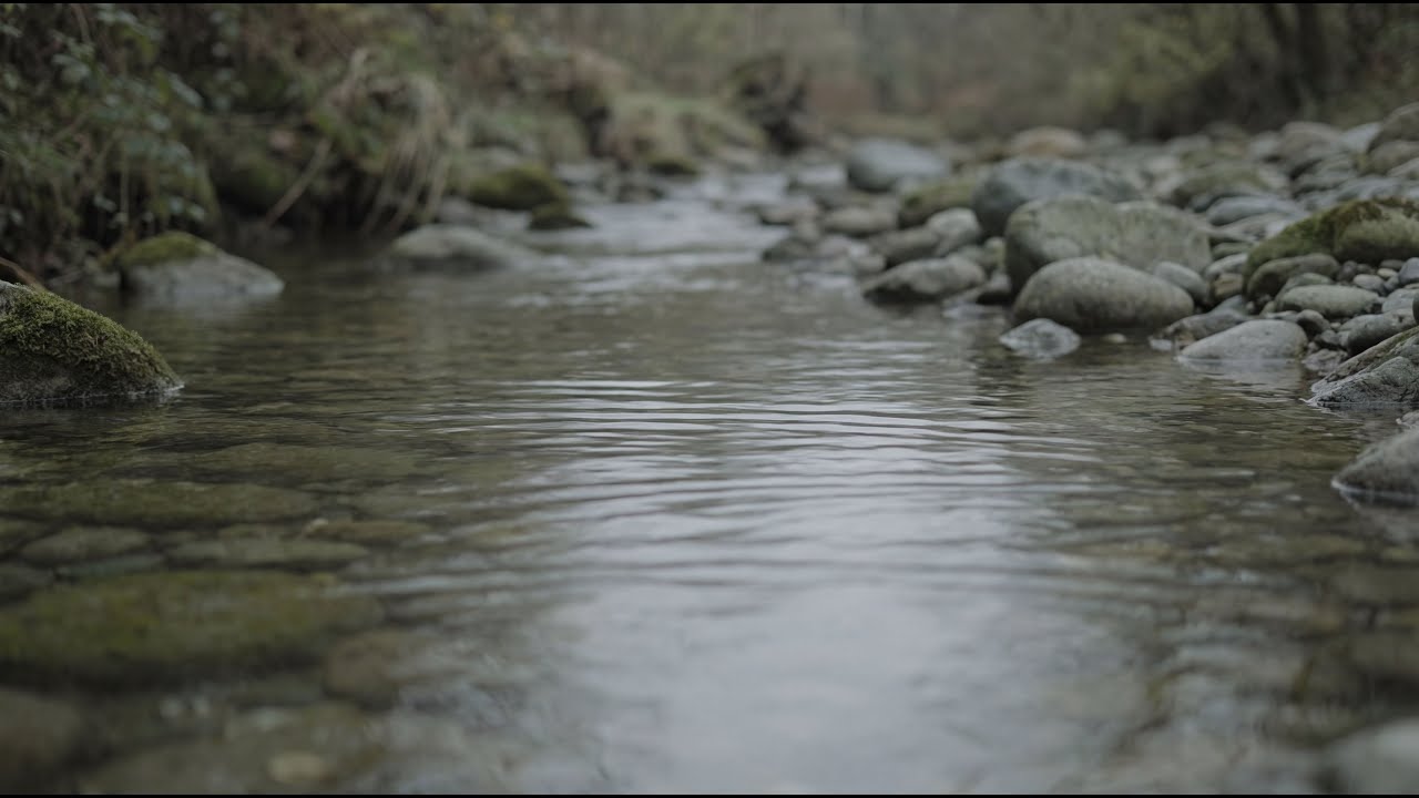 Quiet Stream Continuum 🌊 | Healing Ambient Music for Deep Calm & Meditation