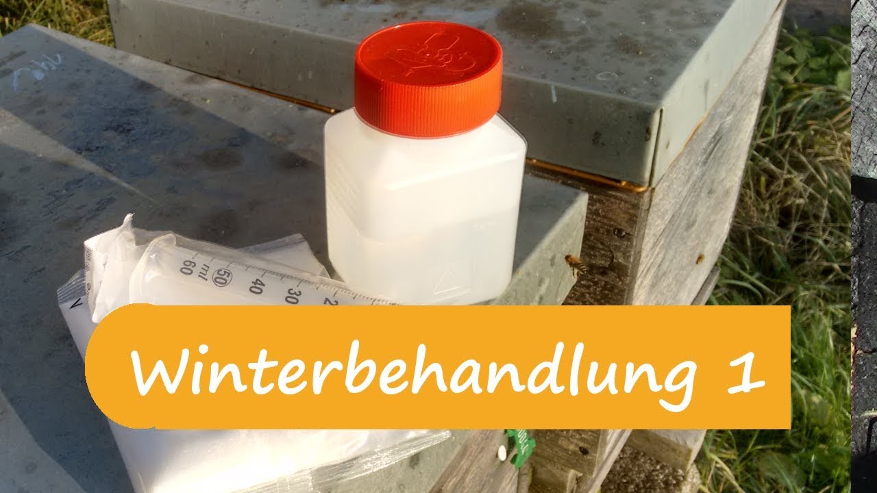 Oxalsäurebehandlung gegen die Varroamilbe- Teil 1- Grundlagen/ Theorie