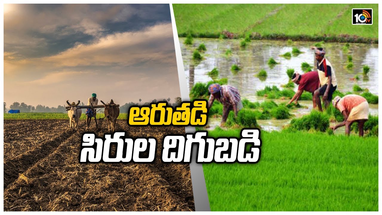 ఆరుతడి సిరుల దిగుబడి  | Profitable Crops | Yasangi Season | 10TV