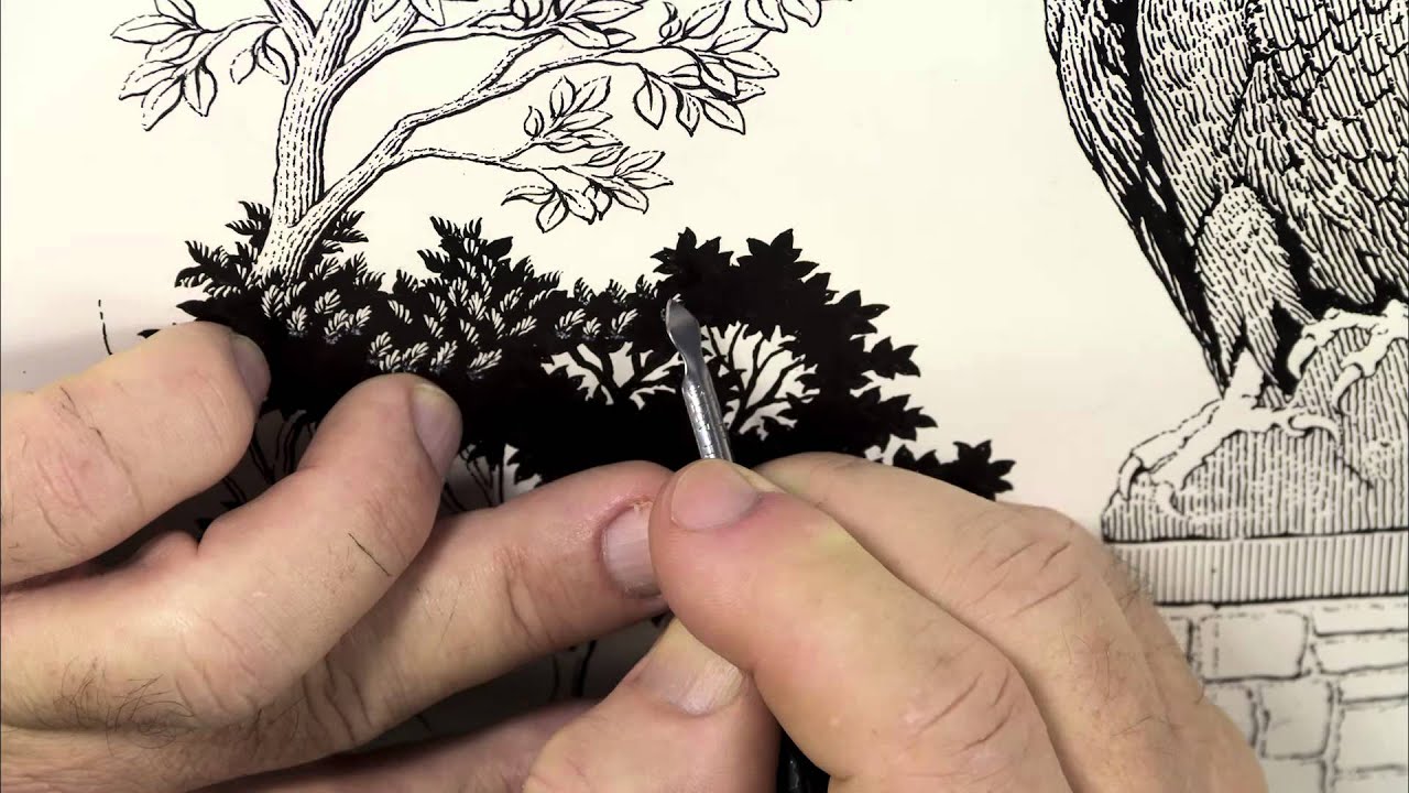Scratchboard Illustration of an Eagle Statue for a University Diploma