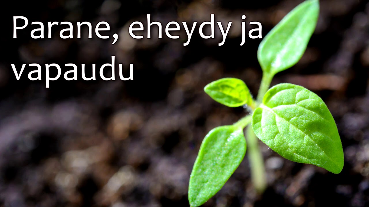 🌱 Terapeuttinen meditaatio - Narsismia parisuhteessa kokeneille