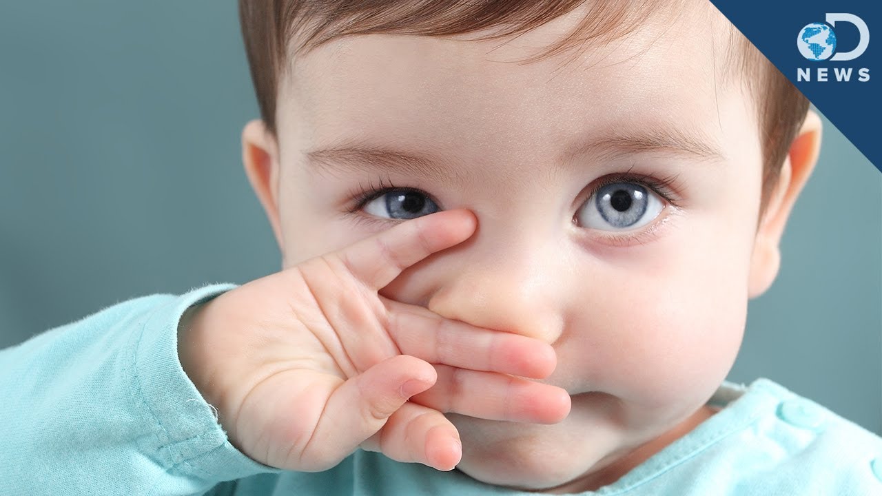 Why Do Our Hair And Eye Color Change?