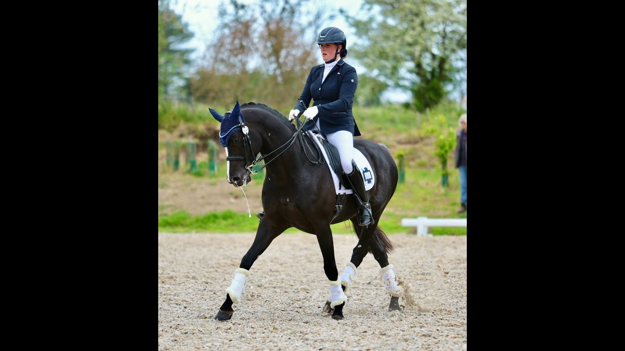 Koning Albert in the Elementary Gold at Northallerton Regionals