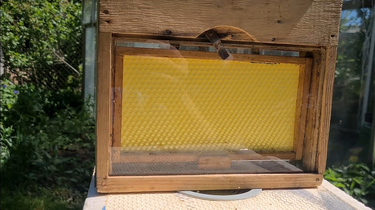 18.05.2022 Różne sposoby unasienniania matek, czas na odkłady.