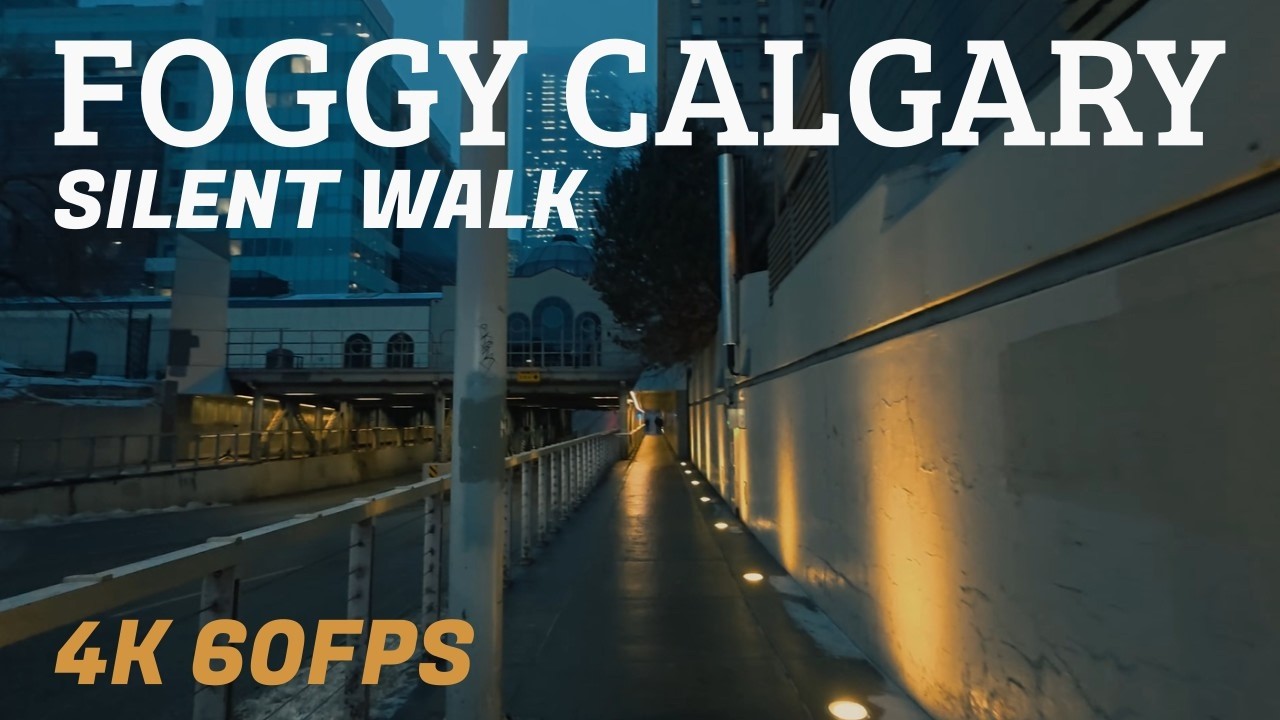 Silent Winter Walk: Foggy Night in Calgary - 4k 60FPS
