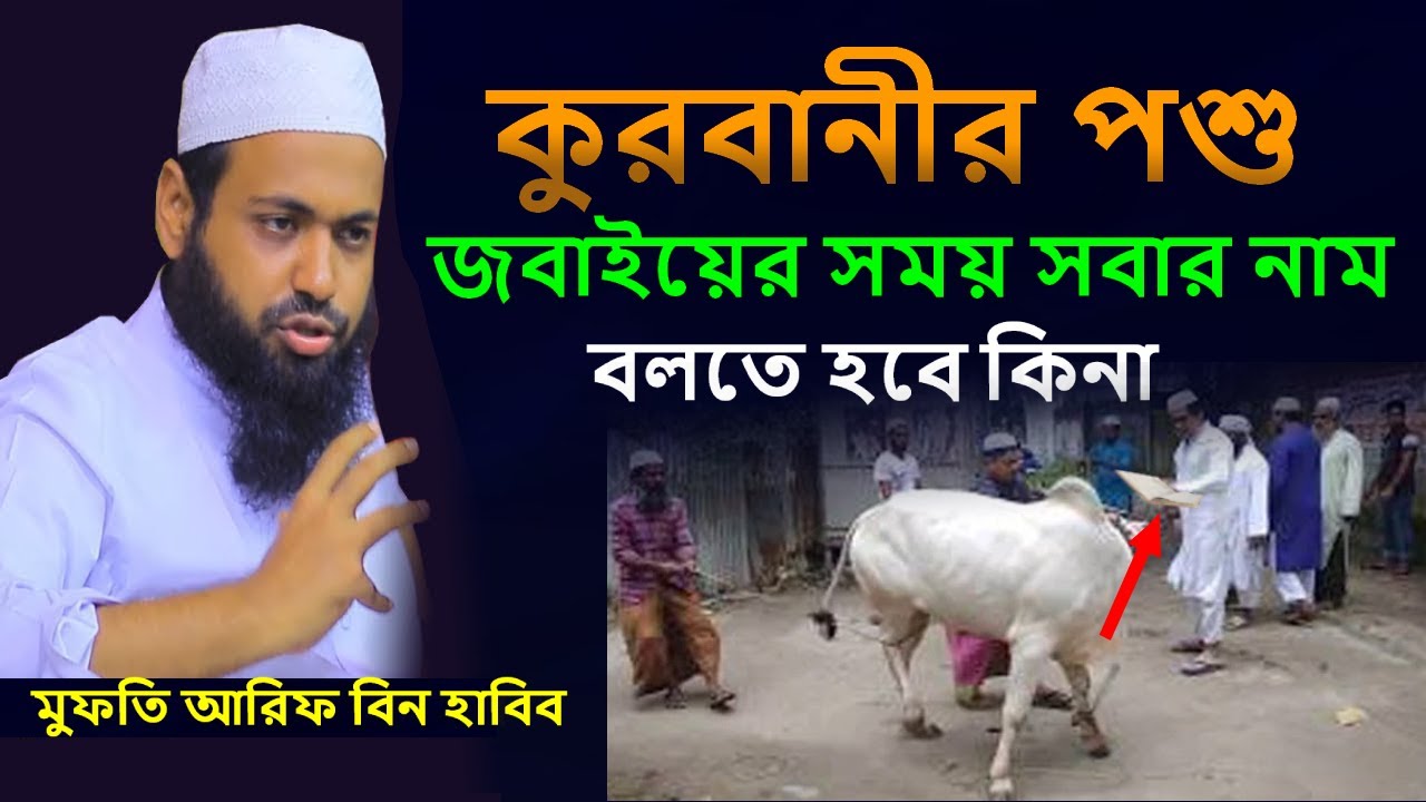 কুরবানীর পশু জবাইয়ের সময় সবার নাম বলা কি জরুরি? Mufti Arif Bin Haib। মুফতী আরিফ বিন হাবিব hq bd waz