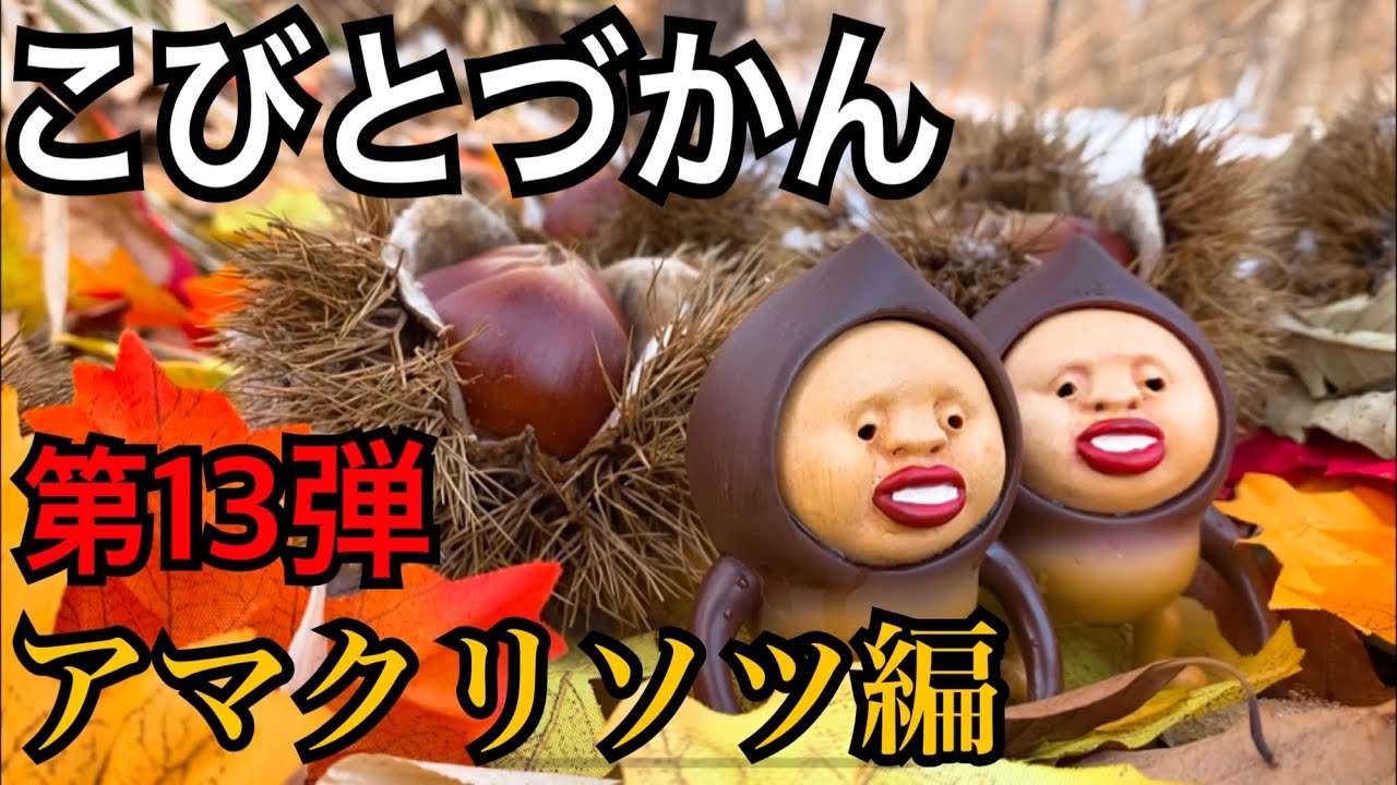 【こびとづかん】アマクリソツ捕まえるまで帰れま10！！