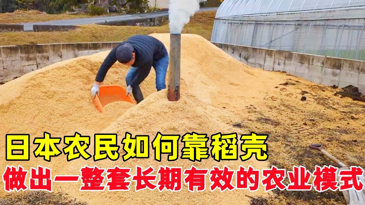 日本农民如何靠稻壳，做出了一整套长期有效的农业模式？| 日本农业 | 稻壳 | 稻壳炭 | 稻壳用途 |
