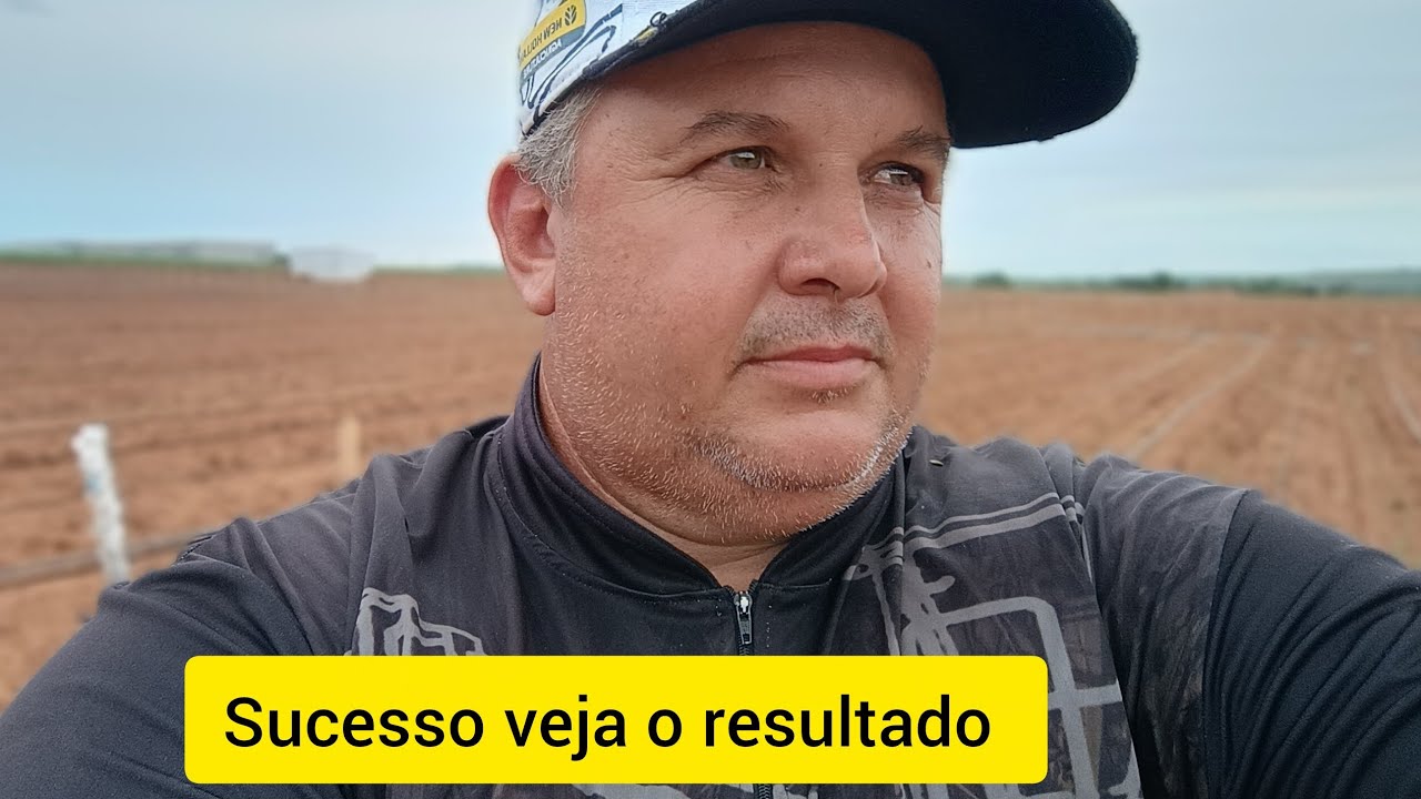 Lavoura de pimentão!  como estalemos o gotejamento na lavoura de pimentão!
