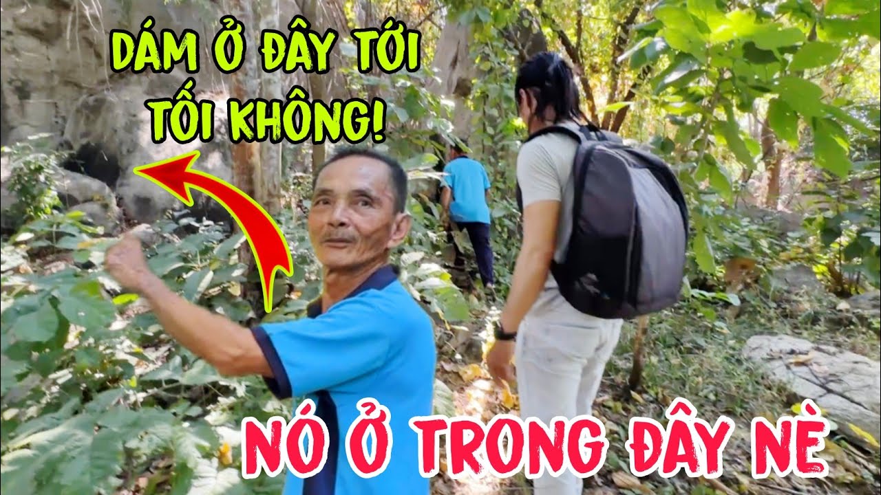 Tiếng Gáy Rùng Rợn Giữa Núi Rừng Và Cuộc Gặp Gỡ Khiến Ông Phải Tu Theo Phật.!