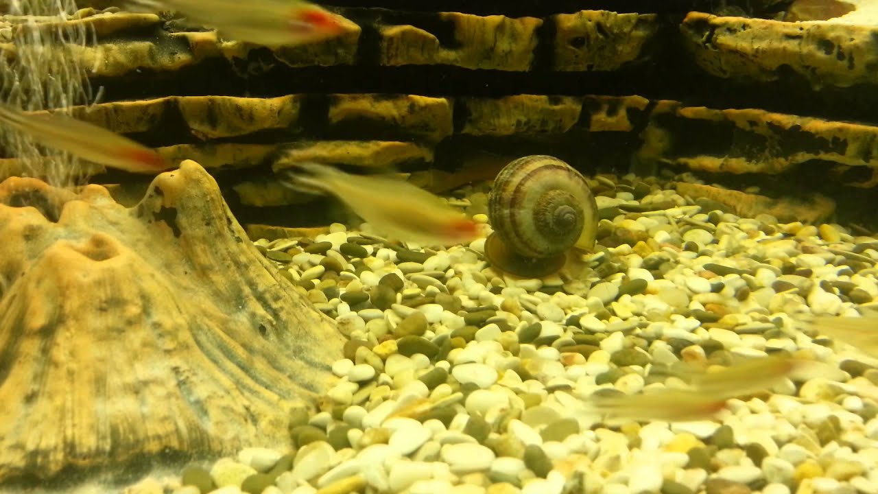 20130203 204349