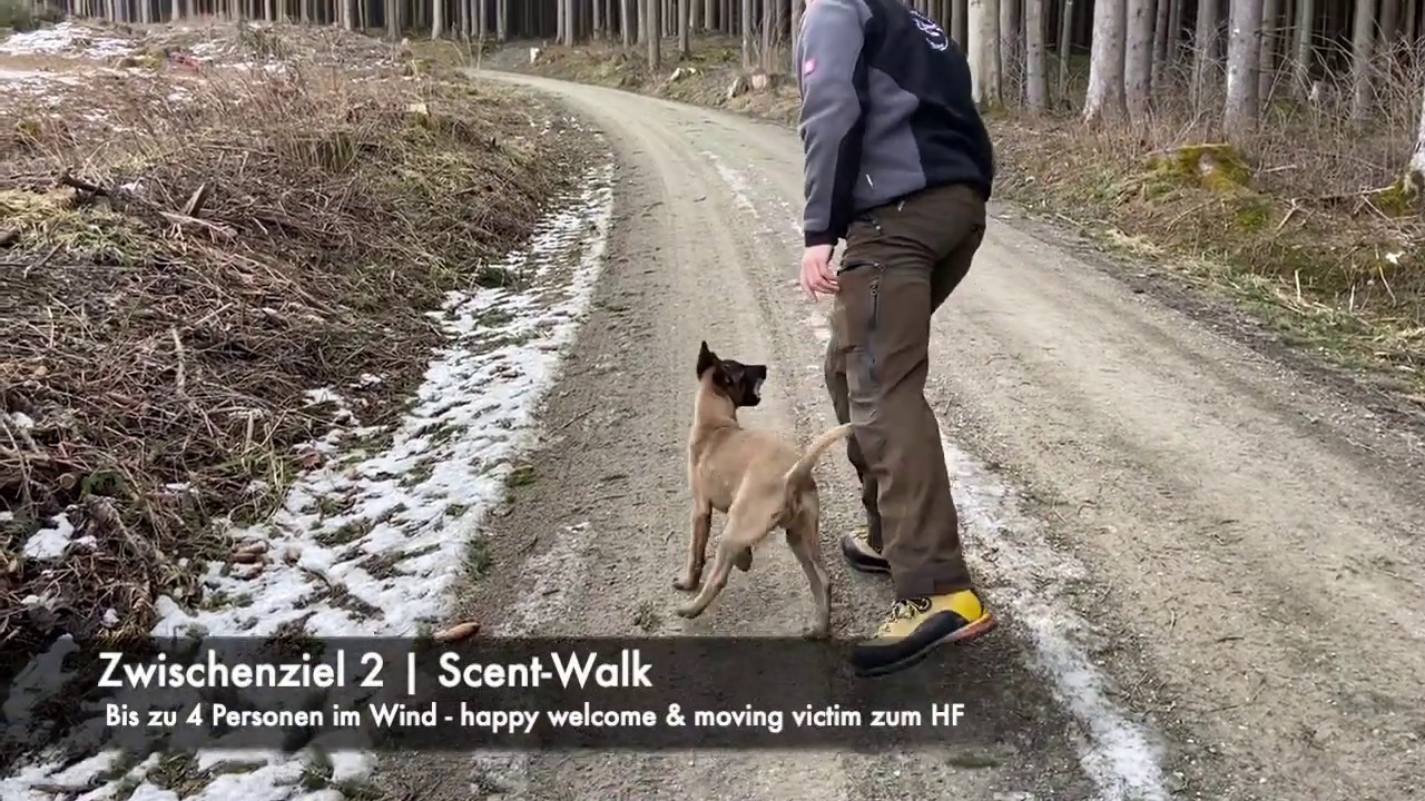 Aufbau SAR Schritt 2