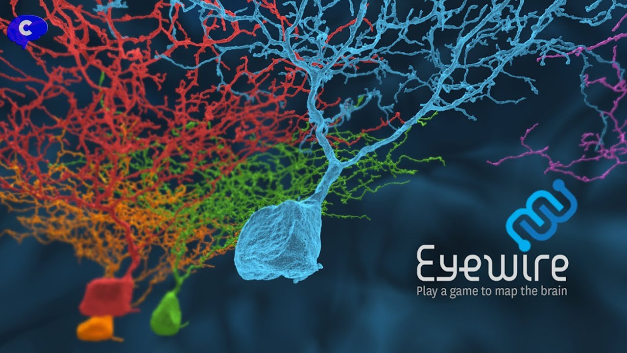 EYEWIRE | El juego m&aacute;s popular entre los cient&iacute;ficos