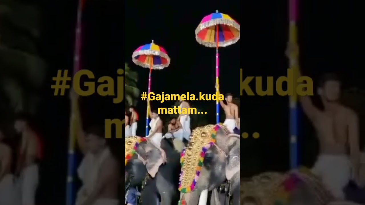 #Gajamela#2023.@tvmr.