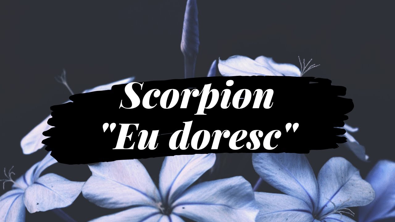 ❈ ZODIA SCORPION | 