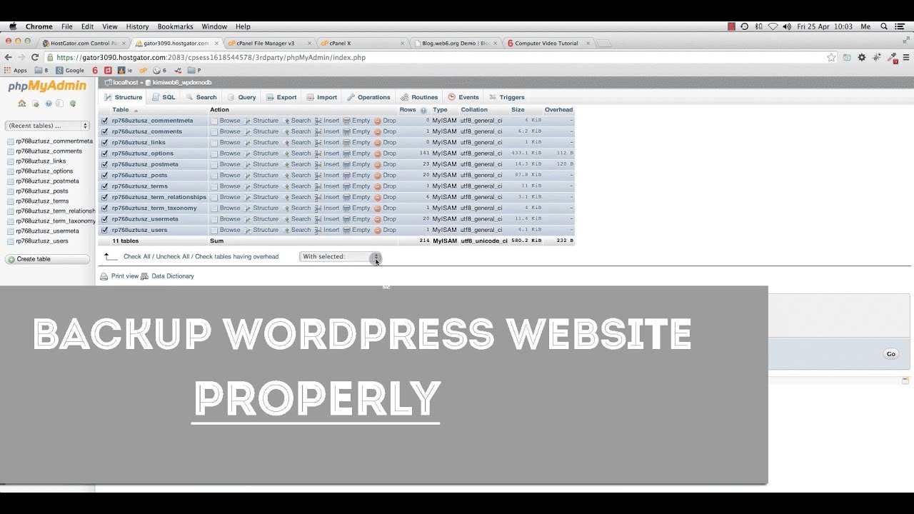 Manually Backup WordPress Site or Blog