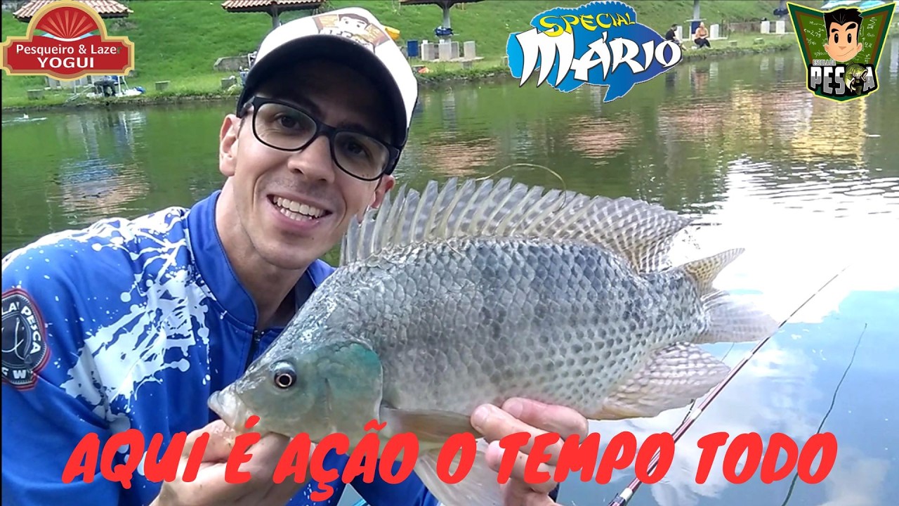 #301 - DUELO DE TILÁPIAS NA VARA DE MÃO   PESQUEIRO YOGUI
