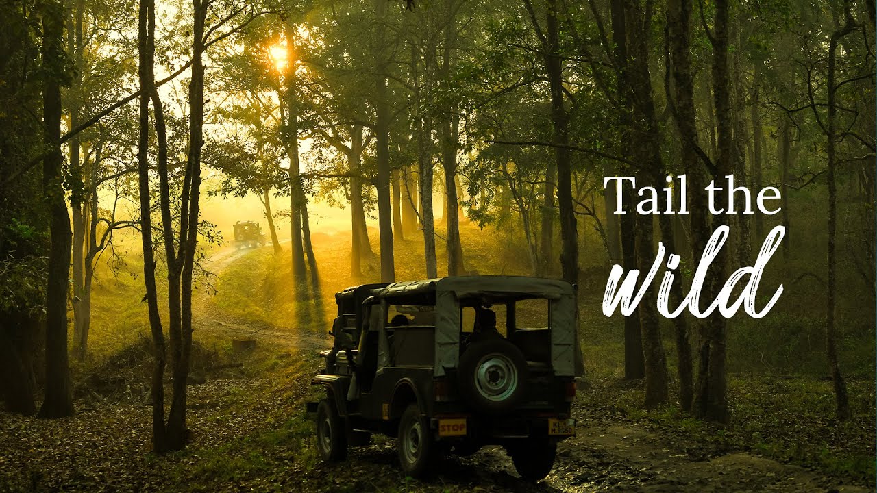 Muthanga Jungle Safari | #GetGoing | Kerala 365 | Kerala Tourism