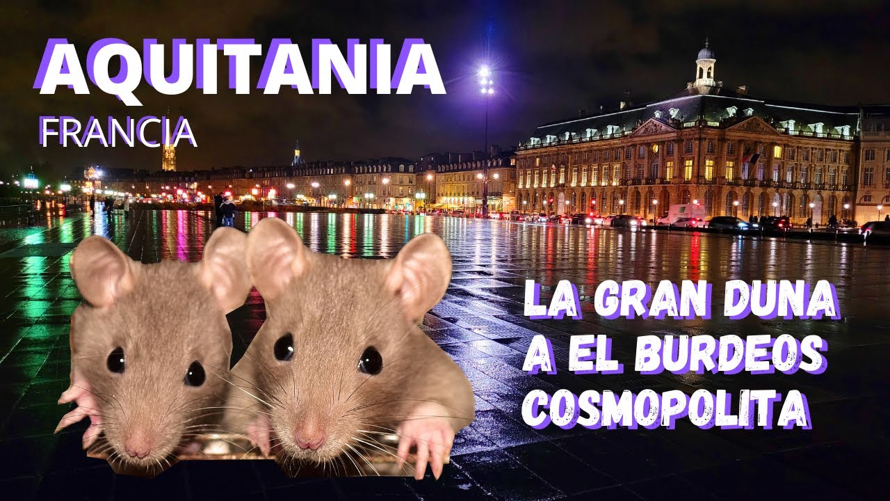 AQUITANIA-FRANCIA #2 La Gran Duna y el Burdeos Cosmopolita