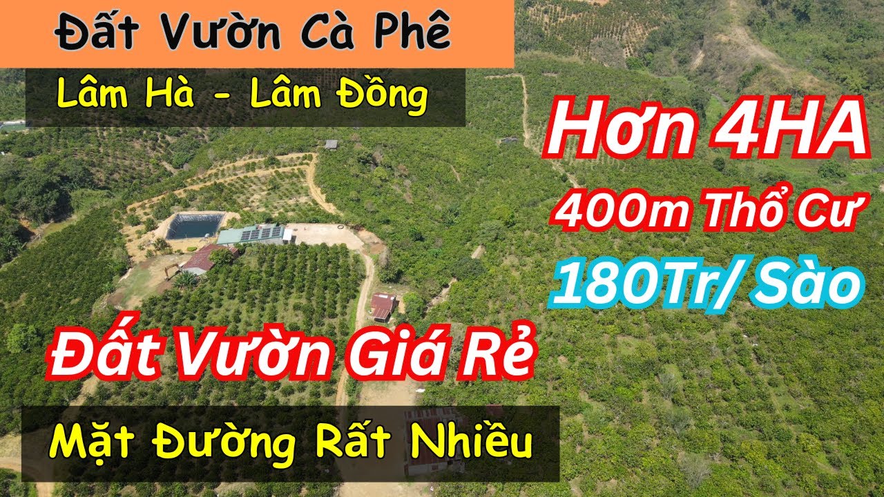 Đất Vườn Cà Phê Rẻ Nhất Huyện Lâm Hà Lâm Đồng - 400m2 Thổ Cư, Có Nhà Ở Mặt Đường Dài View Đẹp