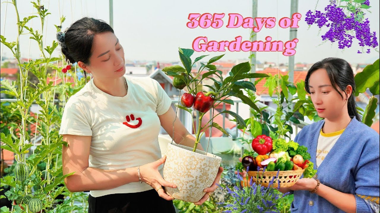 365 Days of Urban Gardening | Small Rooftop to Organic Green Home