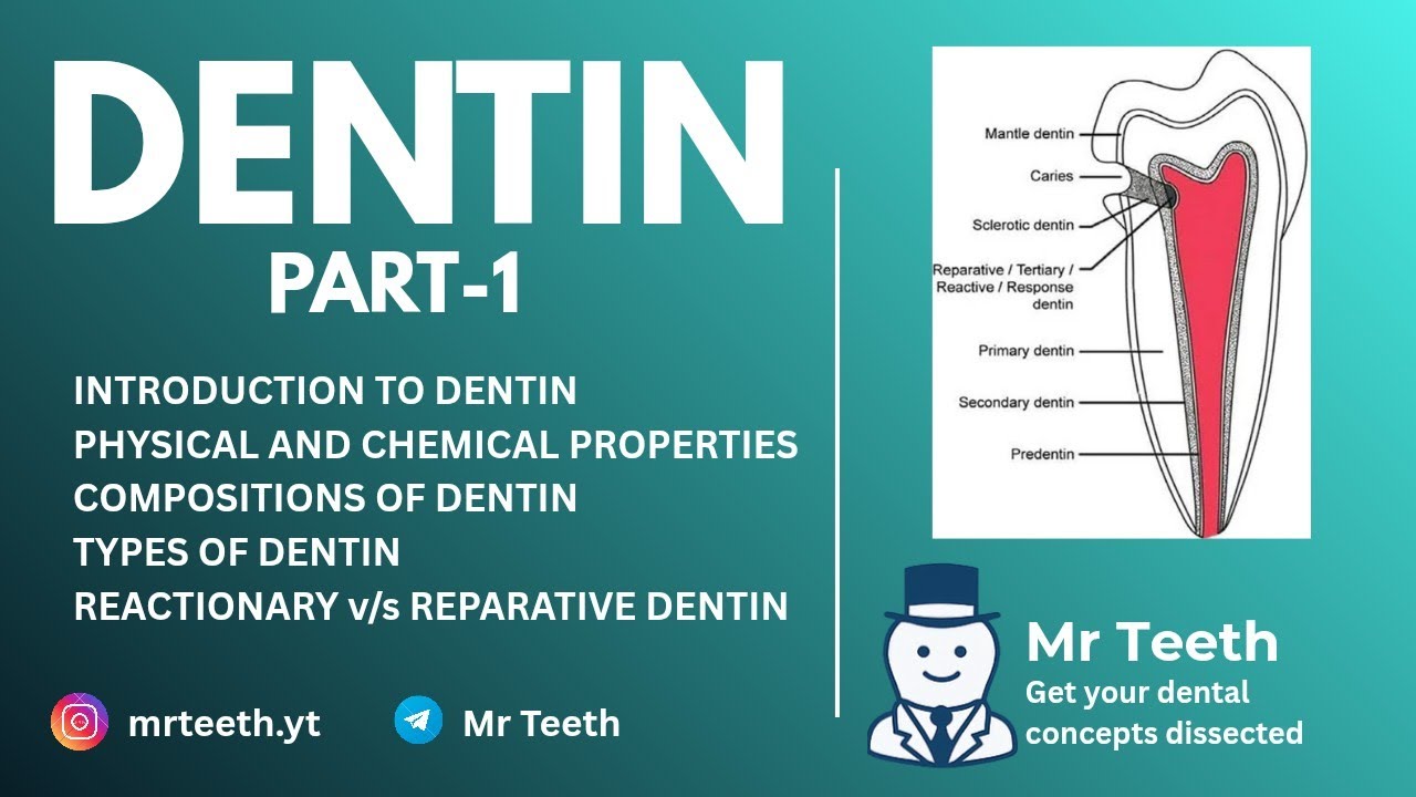 Dentin | Part-1 |Types of Dentin|Dental histology|Oral histology Lectures