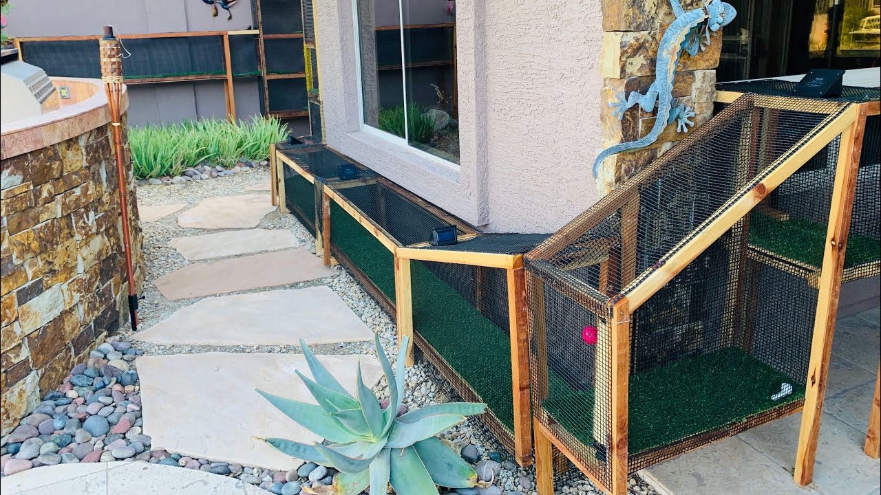 THE BEST CATIO CASTLE EVER!!!
