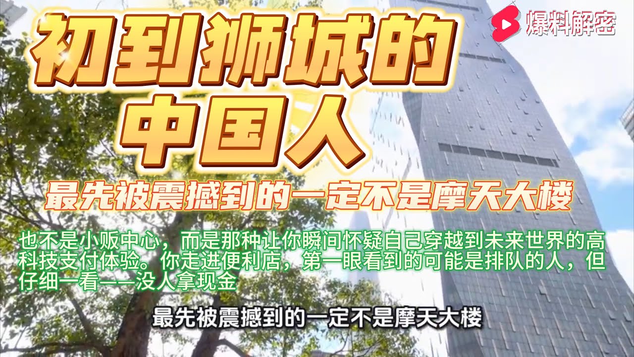 初到狮城的中国人，最先被震撼到的一定不是摩天大楼，也不是小贩中心，而是那种让你瞬间怀疑自己穿越到未来世界的高科技支付体验。你走进便利店，第一眼看到的可能是排队的人，但仔细一看——没人拿现金