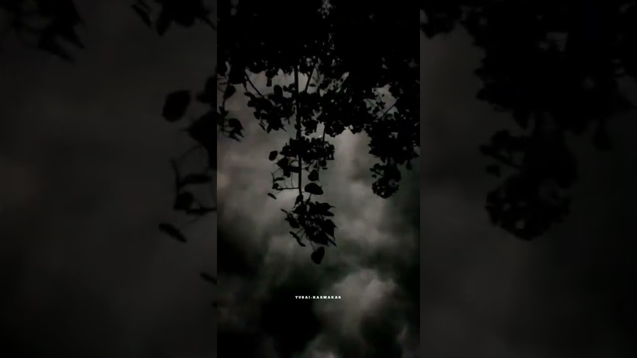 Zara Zara🌦 || Piano Tune || WhatsApp status ||