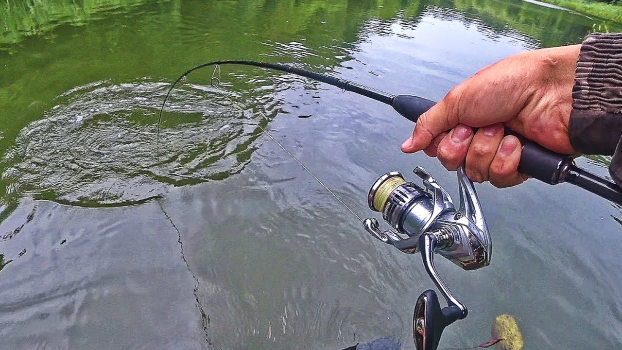 WHAT AN AMAZING FISHING TRIP! TOTALLY WORTH GETTING SOAKED! Spin fishing 2026.