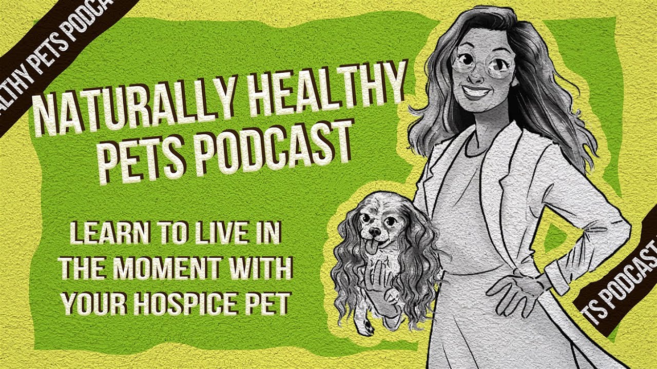 Learn To Live In The Moment With Your Hospice Pet | NHP Podcast Ep 09 | Dr. Judy & Michele Allen