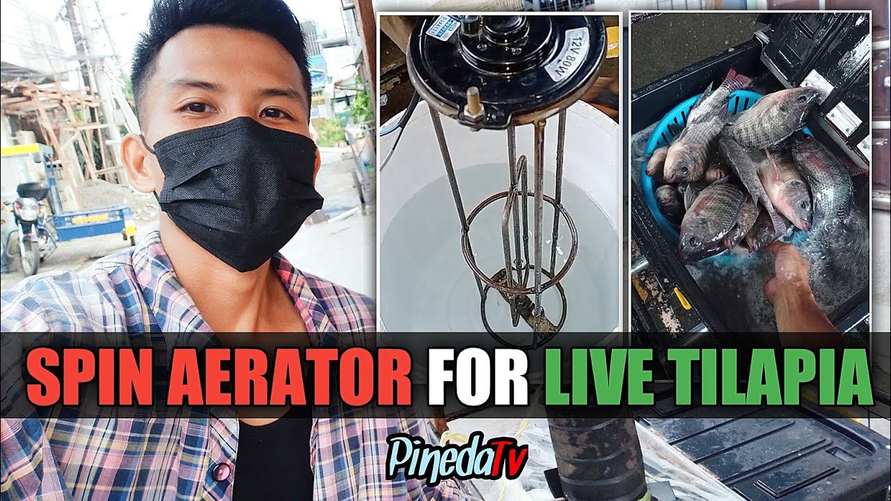 AERATOR FOR LIVE TILAPIA | Paano gumawa ng Spin Aerator para sa Live Tilapia Business? | PinedaTv