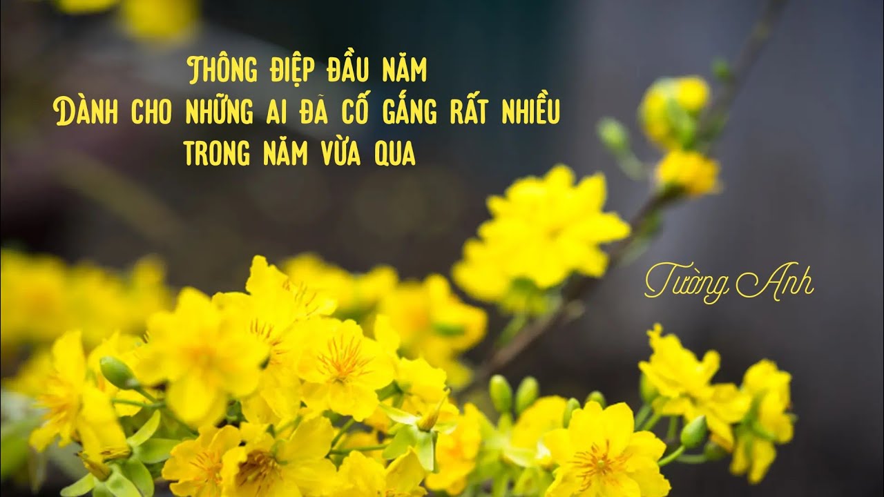 THÔNG ĐIỆP ĐẦU NĂM 🌈 DÀNH CHO NHỮNG AI ĐÃ CỐ GẮNG RẤT NHIỀU TRONG NĂM VỪA QUA 