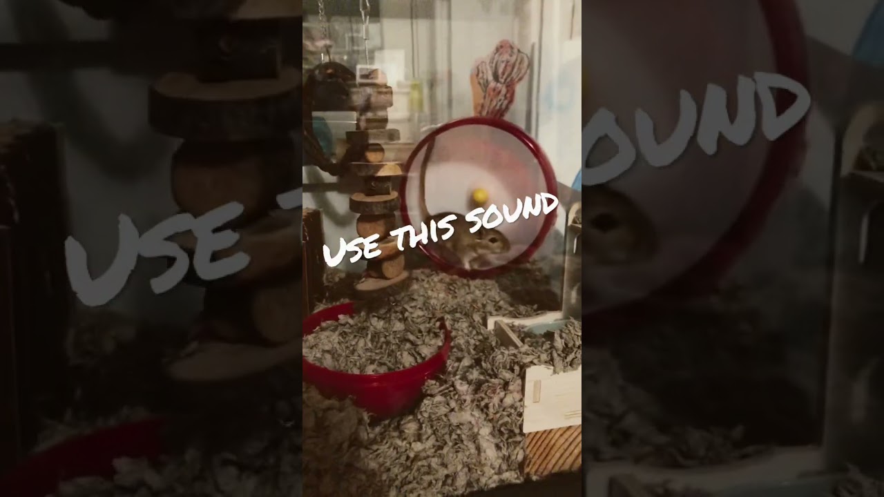 Use this sound 