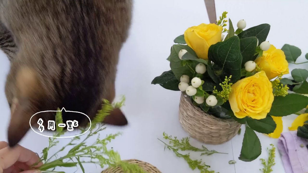 花與貓｜ 草編花器小桌花 Mini table flower