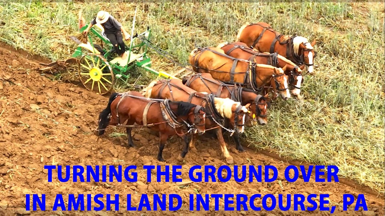 Still PLOWING in Lancaster County's AMISH LAND...Farming with Horses with the OLD ORDER AMISH