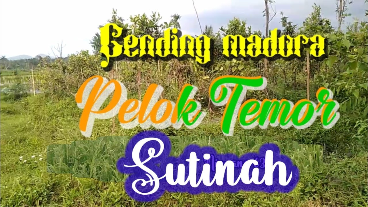 Pelok temor"Sutinah"