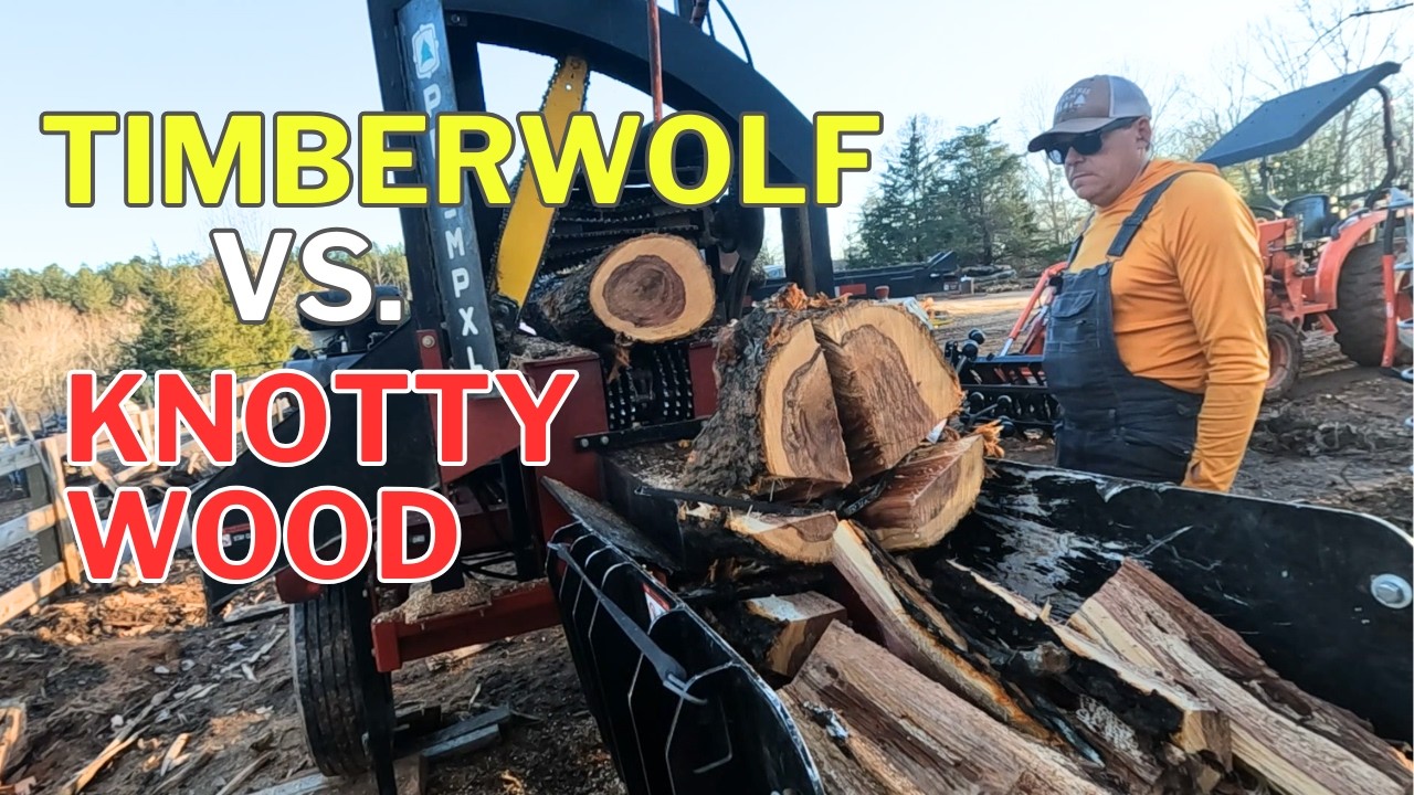 Timberwolf Pro-MP XL против KNOTTY WOOD